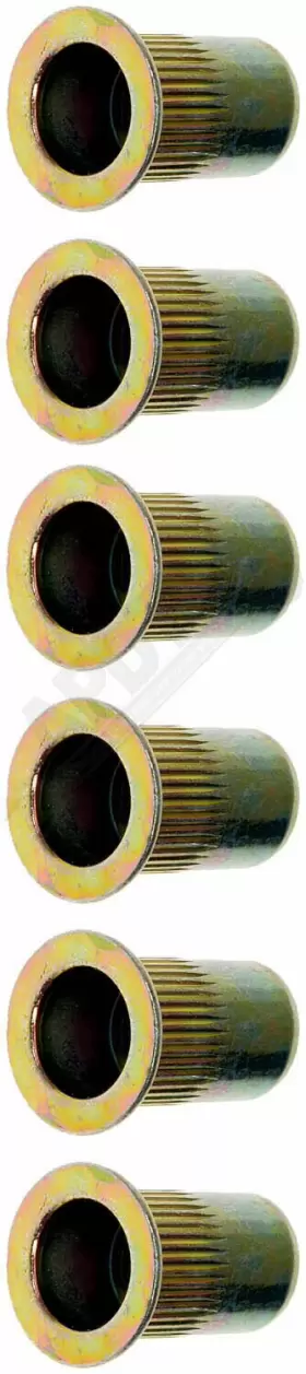 157074 APDTY Rivet Nut #2