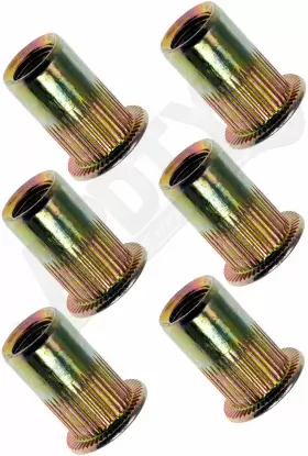 157074 APDTY Rivet Nut