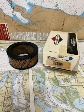 392286 BRIGGS STRATTON Air Filter