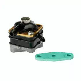 388684 Fuel Pump Screw