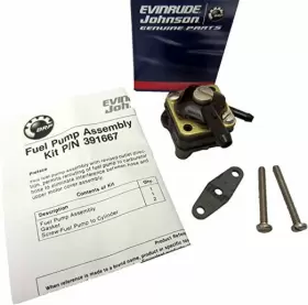 391667 Fuel Pump Kit