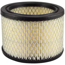 AF2238 HASTINGS Air Filter