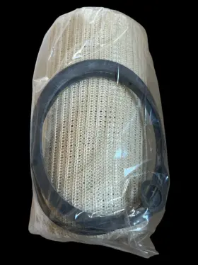 3166 NAPA Fuel Filter #2