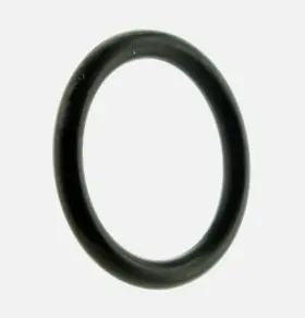 5410734 POLARIS Pwc Fuel Pump Tank Ring Seal