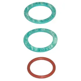RK11341 RACOR Bowl Drain Gasket Kit 500 900 1000