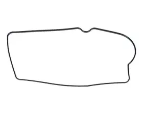 18-0714 SIERRA Float Chamber Gasket