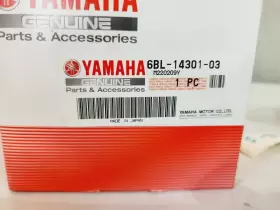 6BL-14301-03 YAMAHA Carburetor #2