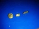 16011-ZV4-005 99101-GHB-1080 16071-ZV4-005 valve  honda baal 15hp bf15