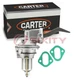 Carter M6696 Mechanical Fuel Pump for D6JL 9350-A B0318P 6696 6471571 xb