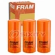 3 pc FRAM P3376 Fuel Filters for TP928L L491 BT8834-MPG 5009 33384 156-0214 sa