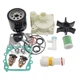 Outboard Maintenance Kit For Yamaha Marine F200A F225A 61A-W0078-00 68V-13915-00