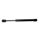 WHitecap 17" Gas Spring - 40lb - Black Nitrate G-3640C UPC 725060364014