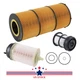 Fuel & Oil Filter Kit P551005 For Freightliner Cascadia DD13 DD15 DD16 P551063