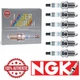 6 Pack NGK Laser Iridium Spark Plugs 4095 IZFR6F11 4095 IZFR6F11 Tune fl