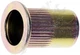 APDTY 163883 Rivet Nut - M10-1.50
