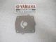P31A Genuine Yamaha 6G5-44323-01 Cartridge Outer Plate OEM New Factory Boat Part