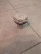 Yamaha 1998-2009 FX140 GP1300 VX110 OEM WHITE Fuel Gas Cap & Filler Neck Assy