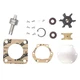 Rebuild Kit for Westerbeke Marine Diesel Generator Raw Sea Water Pump 33636