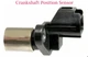 Crankshaft Position Sensor Fits: ES300 ES330 RX300 RX330 RX400h 1994-2008