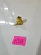 21-64871A3 MERCURY MERCRUISER QUICKSILVER CHECK VALVE ASSY NOS 21-64871A3 MERCURY MERCRUISER QUICKSILVER CHECK VALVE ASSY NOS