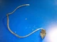 you get 2 0586405 SWITCH s 200hp 225hp 250hp trim 586405 johnson evinrude