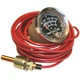Murphy A20T-250-25-1/2 Temperature Swichgage, Part No. 10703168
