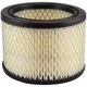 AF2238 Hastings Premium Air Filters