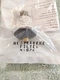 Westerbeke Fuel Filter #48076