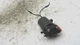 1989 Johnson 40 HP Outboard OEM Primer Solenoid