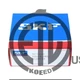 NEW SKF 3310 A-2RS1/C3MT33 double row angular contact ball bearing 1PCS #DC