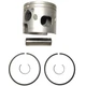 JOHNSON-EVINRUDE 200HP-225HP PISTON KIT Port, standard. &ldquo;S&rdquo; & &ldquo;N&rdquo; Suffix Models