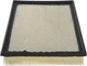 Air Filter Autopart Intl 5000-202762