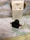 Quicksilver #47886T Solenoid, NLA.