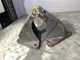 PAIR of Mercury MerCruiser 7.4 MPI Motor Mounts P/N: 806507