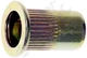 APDTY 163882 Rivet Nut - M8-1.25