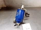 Diesel Fuel Water Separator Filter from 2011 Chevy Silverado 2500 6.6L 10363856