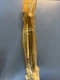 Mercury Marine Quicksilver 77442A 1 Tube Assembly OEM NOS NEW