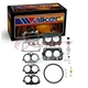 Walker 15485H Carburetor Repair Kit for R9816A R9566AAA R9566A R9165AAA ph