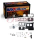 Walker 15815A Carburetor Repair Kit for R9392A R9140A R9074A R8741A R87361A cv
