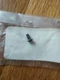 Yamaha Screw SUV1200 XL1200 GP1200 LST1200 6K8-14503-02 Nos Oem