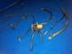 Solenoid 819503T6 Elbow 887801 tube  force mercury 70hp