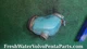 Volvo Penta exhaust mixing elbow pipe p/n 861289 exhaust pipe Elbow