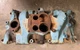 OMC 260 Intake Manifold Part#346250