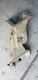 Caterpillar 9N-2469 Intake Manifold for CAT 3208