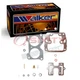 Walker 15990AV Carburetor Repair Kit for 434888 434616 433813 433812 433811 bp