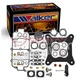 Walker 151095 Carburetor Repair Kit for R84044AA R840441AA R84039AA R84039 fn
