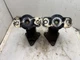Mercruiser GM V6 / V8 Engine Motor Mount # 806507 / 66284 OEM PAIR