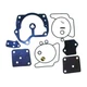 Sierra 18-7248 Marine Carburetor Kit Johnson/Evinrude 439079 437327 439078