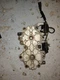 Johnson Evinrude Outboard 115 HP  326505 0326505 CYLINDER HEAD, STBD.