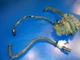 0175107 pump yy 175107 5007420  johnson evinrude 100hp (1 4L)  